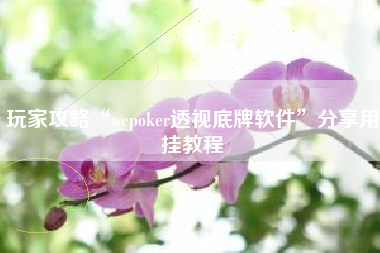 玩家攻略“wepoker透视底牌软件”分享用挂教程