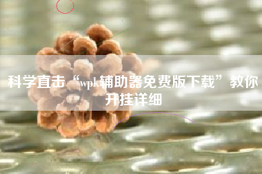 科学直击“wpk辅助器免费版下载	”教你开挂详细