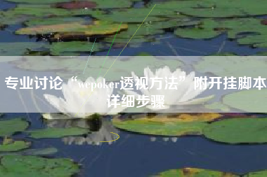 专业讨论“wepoker透视方法”附开挂脚本详细步骤