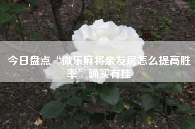 今日盘点“微乐麻将亲友房怎么提高胜率”确实有挂