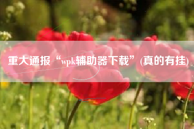 重大通报“wpk辅助器下载”(真的有挂)