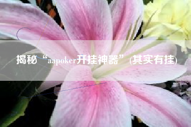 揭秘“aapoker开挂神器”(其实有挂)