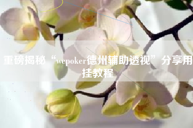 重磅揭秘“wepoker德州辅助透视”分享用挂教程