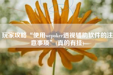 玩家攻略“使用wepoker透视辅助软件的注意事项”(真的有挂)