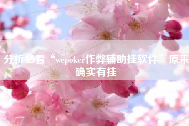 分析必看“wepoker作弊辅助挂软件”原来确实有挂
