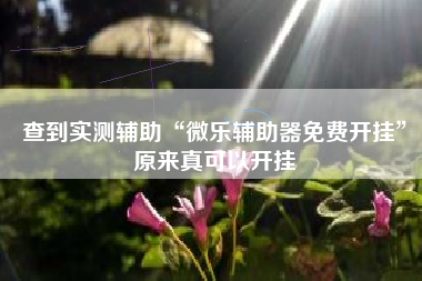 查到实测辅助“微乐辅助器免费开挂	”原来真可以开挂