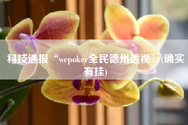 科技通报“wepoker全民德州透视	”(确实有挂)