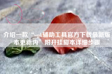 介绍一款“wpk辅助工具官方下载最新版本更新内”附开挂脚本详细步骤
