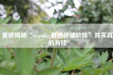 重磅揭秘“wepoker有透视辅助挂”其实真的有挂