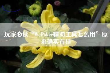 玩家必读“WePoker辅助工具怎么用”原来确实有挂