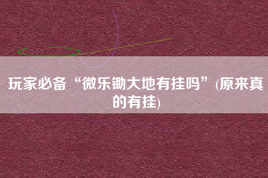 玩家必备“微乐锄大地有挂吗”(原来真的有挂)