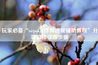 玩家必备“wepoker作弊透视辅助教程”分享装挂详细步骤