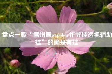 盘点一款“德州局wepoker作弊挂透视辅助挂”的确是有挂