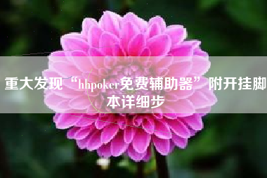 重大发现“hhpoker免费辅助器	”附开挂脚本详细步