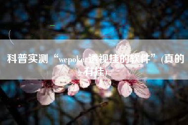 科普实测“wepoker透视挂的软件”(真的有挂)