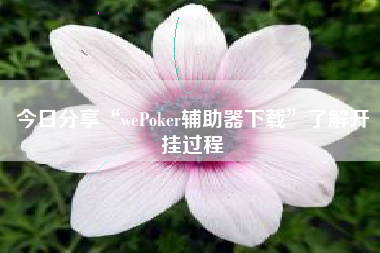 今日分享“wePoker辅助器下载”了解开挂过程