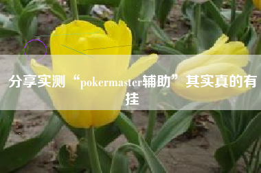 分享实测“pokermaster辅助	”其实真的有挂