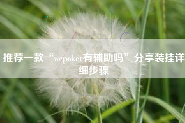 推荐一款“wepoker有辅助吗”分享装挂详细步骤