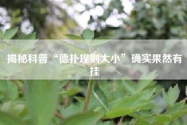 揭秘科普“德扑规则大小”确实果然有挂
