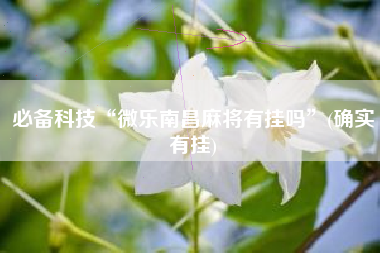 必备科技“微乐南昌麻将有挂吗	”(确实有挂)