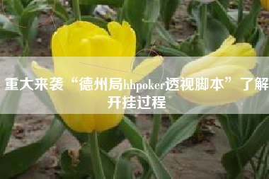 重大来袭“德州局hhpoker透视脚本”了解开挂过程
