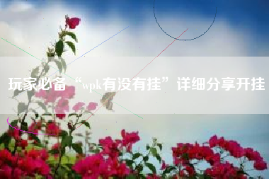 玩家必备“wpk有没有挂”详细分享开挂