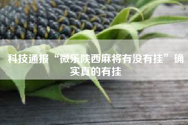 科技通报“微乐陕西麻将有没有挂”确实真的有挂