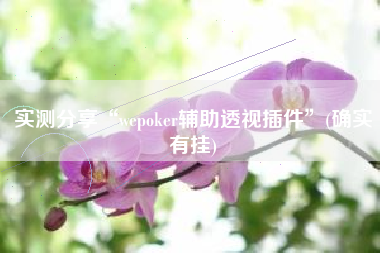 实测分享“wepoker辅助透视插件”(确实有挂)