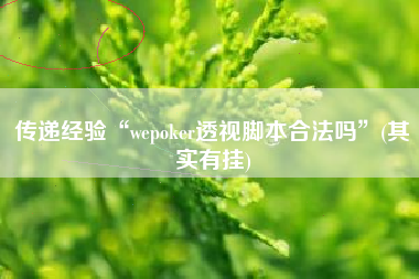 传递经验“wepoker透视脚本合法吗	”(其实有挂)