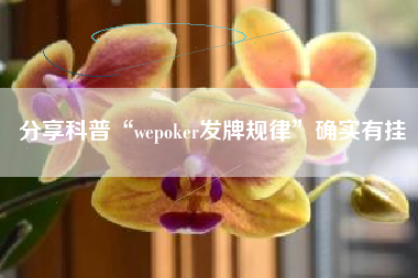 分享科普“wepoker发牌规律	”确实有挂