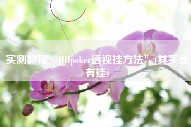 实测教程“HHpoker透视挂方法	”(其实是有挂)