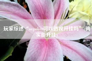 玩家综述“wepoker可以透视开挂吗”(确实能开挂)