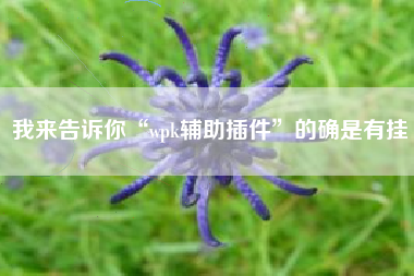 我来告诉你“wpk辅助插件”的确是有挂