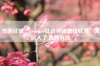 传递经验“wepoker挂透视辅助挂软件	”太坑人了,真的有挂