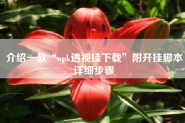 介绍一款“wpk透视挂下载	”附开挂脚本详细步骤