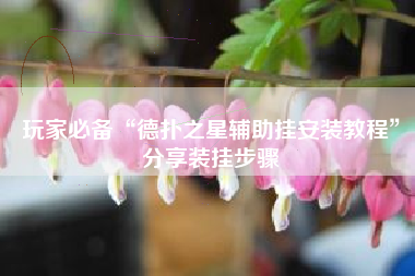 玩家必备“德扑之星辅助挂安装教程”分享装挂步骤