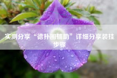 实测分享“德扑圈辅助”详细分享装挂步骤