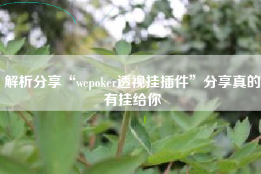解析分享“wepoker透视挂插件	”分享真的有挂给你