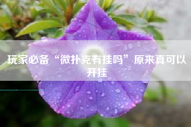 玩家必备“微扑克有挂吗”原来真可以开挂