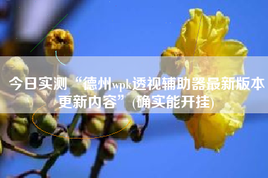 今日实测“德州wpk透视辅助器最新版本更新内容”(确实能开挂)