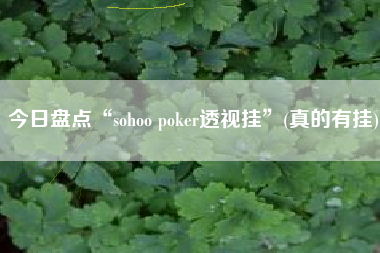 今日盘点“sohoo poker透视挂”(真的有挂)