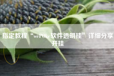 指定教程“wePOke软件透明挂	”详细分享开挂