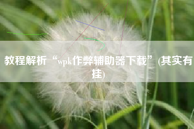 教程解析“wpk作弊辅助器下载	”(其实有挂)