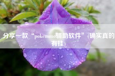 分享一款“pokemmo辅助软件”(确实真的有挂)