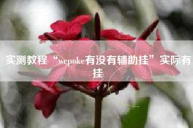 实测教程“wepoke有没有辅助挂	”实际有挂