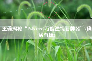 重磅揭秘“Pokerrrr2万能透视看牌器	”(确实有挂)
