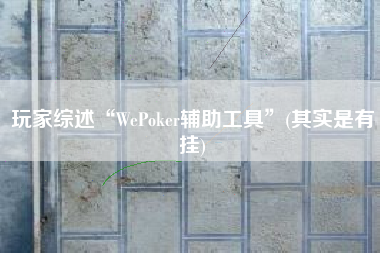 玩家综述“WePoker辅助工具”(其实是有挂)