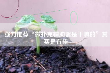 强力推荐“微扑克辅助器是干嘛的”其实是有挂