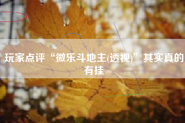 玩家点评“微乐斗地主(透视)”其实真的有挂