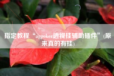指定教程“agpoker透视挂辅助插件”(原来真的有挂)